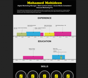 Mohamed Mohideen CV Infographic