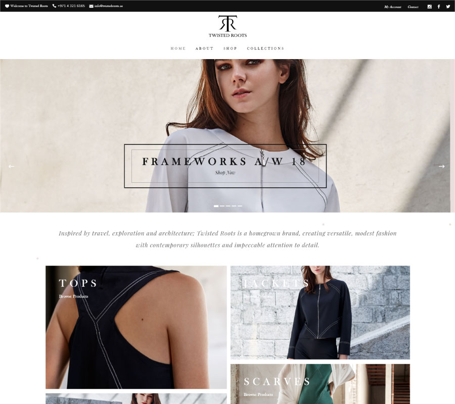 Ecommerce Website Designer Dubai